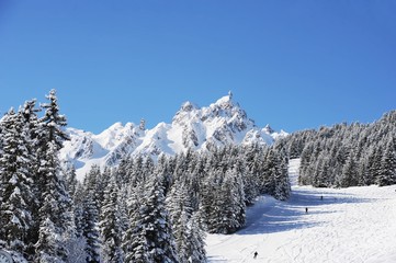 Ski slope in French Alps with forest and Mountain View 