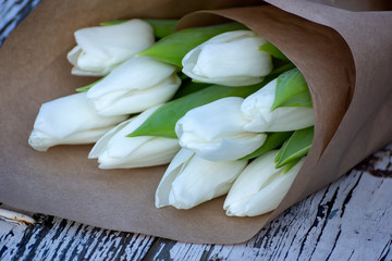 White Tulips on white background. Top view