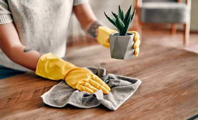 Beautiful young woman makes cleaning the house. Girl rubs dust. Woman in protective gloves is smiling and wiping dust using a duster while cleaning her house. - obrazy, fototapety, plakaty