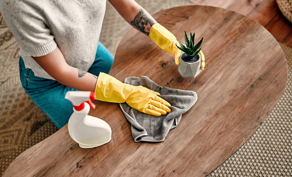 Beautiful young woman makes cleaning the house. Girl rubs dust. Woman in protective gloves is smiling and wiping dust using a spray and a duster while cleaning her house.