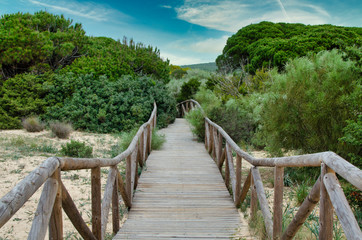 Naklejka na ściany i meble View of a footbridge with wooden planks in the Natural Park of Trafalgar Cape next to Los Caños de Meca village, Barbate, Cadiz, Andalusia, Spain