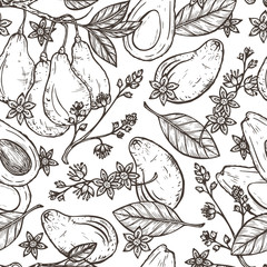 Hand drawn Avocados Vector Seamless pattern. Branches with leaves and fruit. Blossoming Avocado. Leaves, Flowers, Tropical Fruits. Floral background