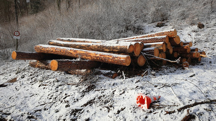Logs cut down in front of the forest and covered with snow stand out in color in the winter landscape and a fallen orange and white warning cone is in the foreground.