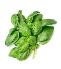 Fresh basil leaves