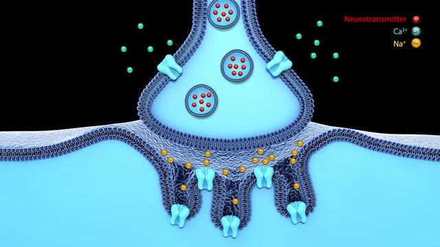Blue synapse and neuron on a blue background. 3d rendering,scientific function of a synapse or neuronal connection with a nerve cell, neurons, inside brain