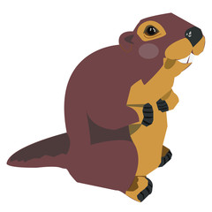 beautiful beaver sits and looks into the distance