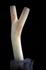catapult fork slingshot
