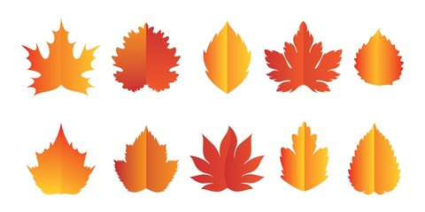 autumn leaves set, isolated on white background. Colorful autumn leaf. vector illustration.