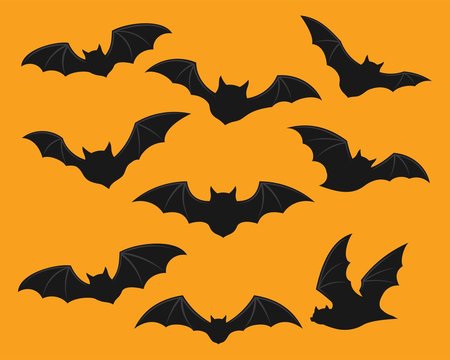 Bats icon set, Black silhouettes of bats. vector illustration