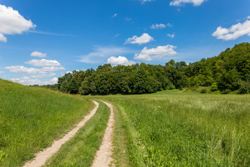 Country road through a meadow and forest.