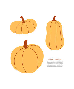  Set of simple flat pumpkins. Seasonal vector bold illustration for autumn design