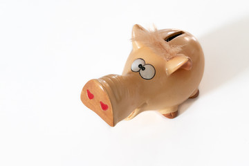 Sparschwein mit großen Augen langer Nase und Haare auf weißem Hintergrund isoliert