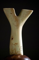 catapult fork slingshot