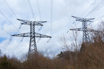 ligne haute tension , broyage arbres