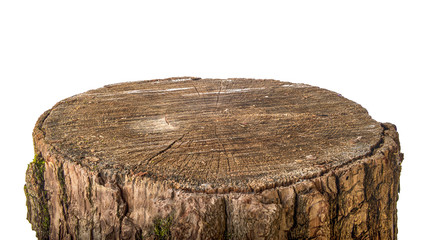 Wooden stump isolated