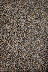 Arabic Coffee Beans Background. Close Up photo