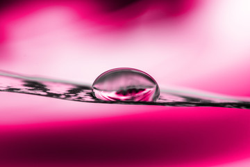 Water drop on a feather close-up on a pink background - Pink concept, dream, creativity, imagination, artistic - Focus on the drop, blurred background