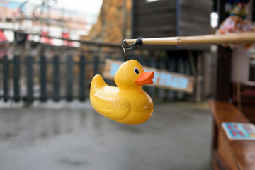 Hook-A-Duck Fairground Prize