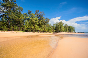 Exotic tropical beach.