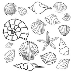 Hand drawn vector illustrations - collection of seashells. Marine set. Perfect for invitations, greeting cards, posters, prints, banners, flyers etc