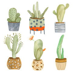 Watercolor illustration of a set of green cacti in colorful pots. Hand-drawn with watercolors and is suitable for all types of design and printing.