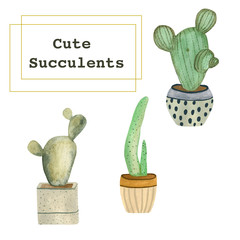 Watercolor illustration of green cacti in colorful pots. Hand-drawn with watercolors and is suitable for all types of design and printing.
