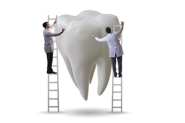 Doctors examining giant tooth in dental concept