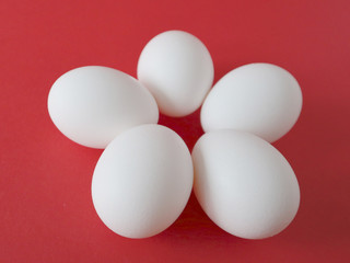 White eggs lie on a red background. Happy easter concept.
