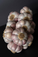 White and purple garlic head on a black background