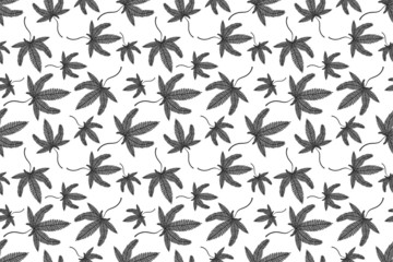 Abstract Black and White Seamless Pattern with Medical Marijuana. Cannabis Plant Symbol with Leaves Isolated on White Background.