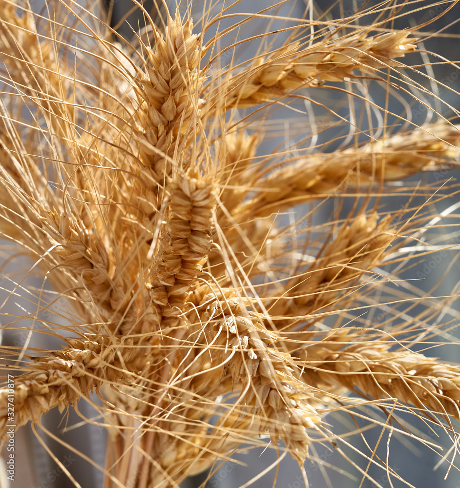 Wall mural ears of wheat stand in a vase on a window