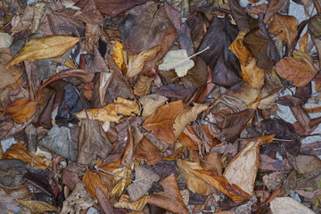 Colorful backgrounds can also be used as wallpapers in best photo quality