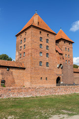 Fototapeta na wymiar malbork castle