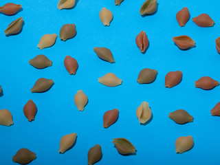 snail macaroni on a blue background. abstract background of pasta.