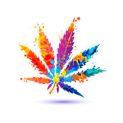 Fototapeta na wymiar Cannabis icon on white background