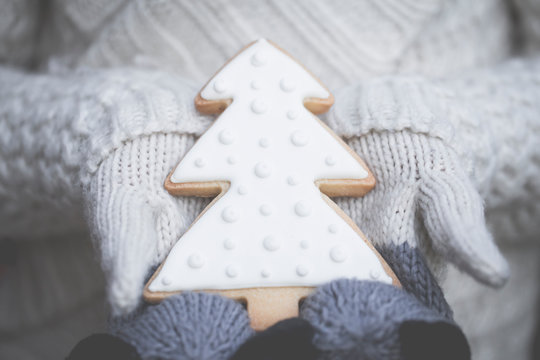 Boy wearing mittens holding a Christmas tree cookie
