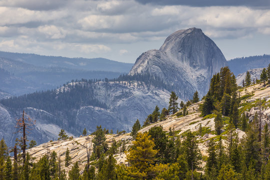 View of the Half Dome from Olmsted point.