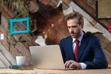 young businessman working on laptop in a coffeeshop