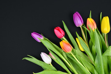 Bouquet of colorful tulip spring flowers in right lower corner of dark black background 