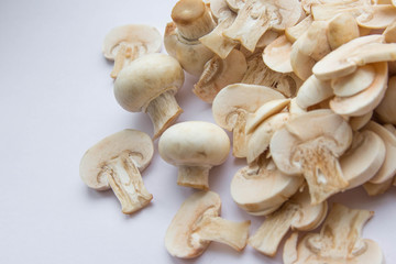 Fresh cut mushrooms spilled at the white background