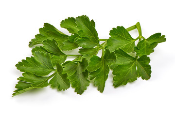 Fresh organic parsley, isolated on white background