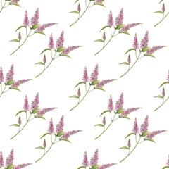 Pattern from  handmade watercolor purple flower on a white background. Use for menus, invitations, menus, weddings