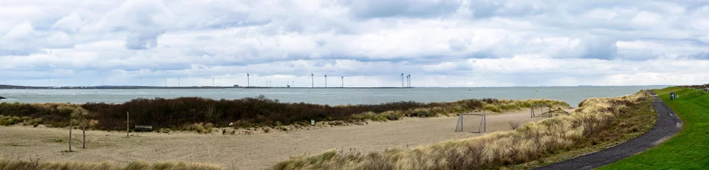 Foto op Plexiglas Horizontal panoramic view beach Netherlands © kristof Leffelaer