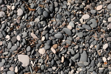 background of pebbles on the beach. Stone gravel texture.stone background or wallpaper. pebble beach outdoor nature