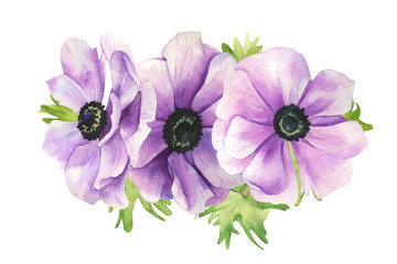 composition of watercolor anemone flowers isolated on a white background. Summer bright purple flowers in a bouquet with leaves. Illustration for design, print, postcard, poster. Cute sketch drawing.