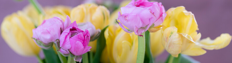 Floraler Hintergrund mit Tulpen und Ranunkeln