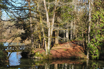 Paysage arboré