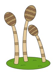 illustration of a Horsetail
