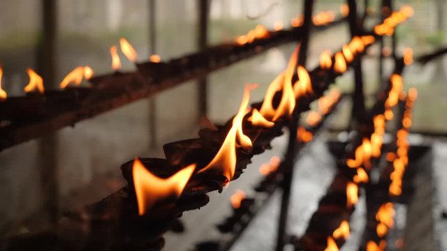 CLoseup 4k video of burning sacred fire in the oil lamps at buddhist or hindu temple