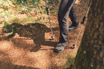 Female hiker is trekking on footpath in forest